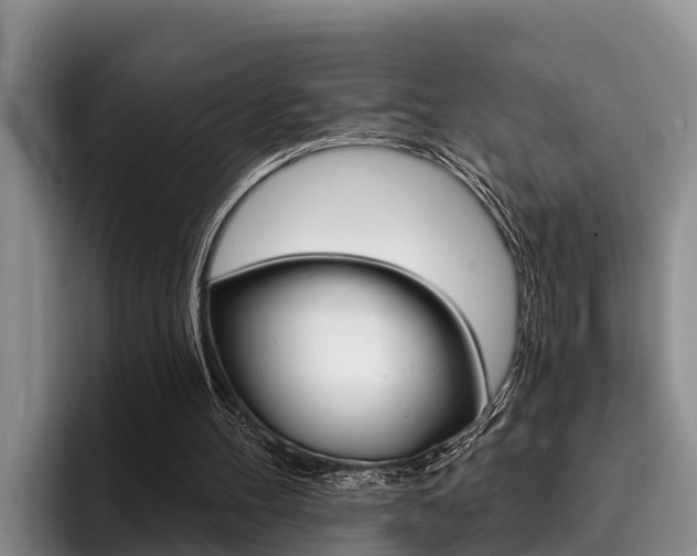 X0000096210100200801181017