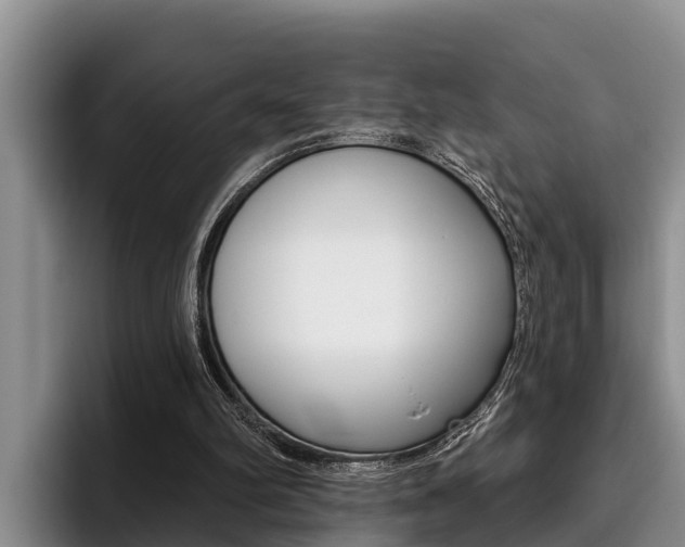 X0000096210102200801181017