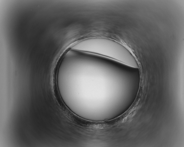 X0000096210103200801181017