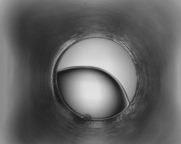 X0000096210104200801181017