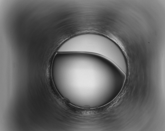 X0000096210105200801181017