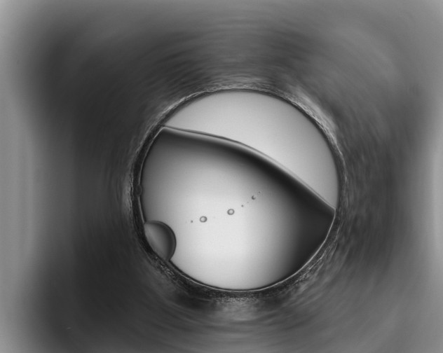 X0000096210107200801181017