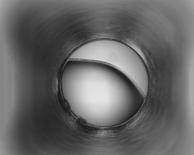 X0000096210109200801181017