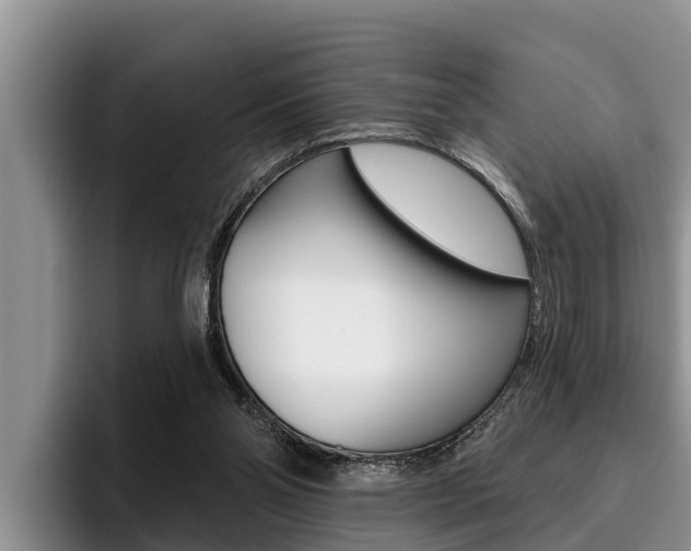 X0000096210110200801181017