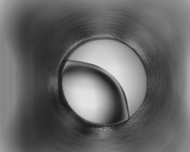 X0000096210112200801181017