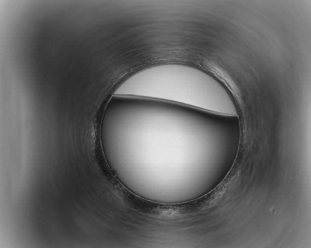 X0000096210113200801181017