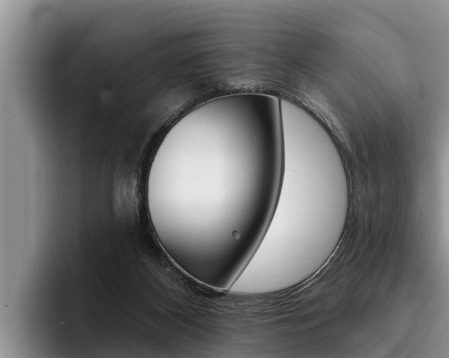 X0000096210116200801181017