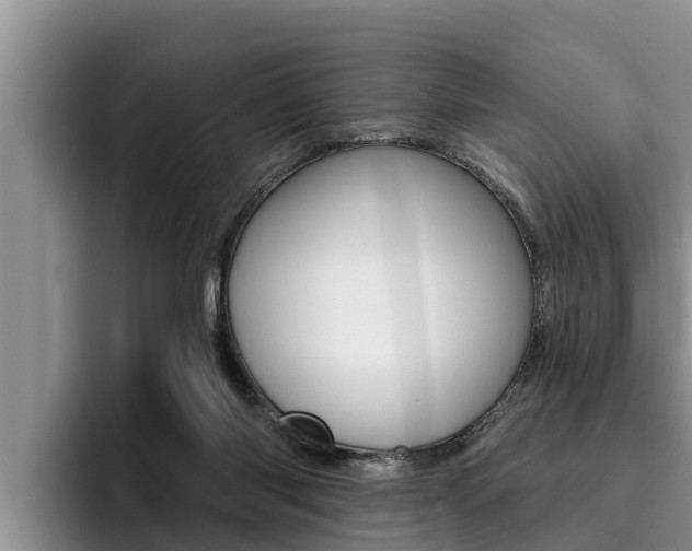 X0000096210118200801181017