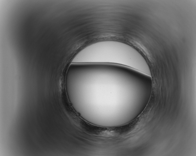 X0000096210119200801181017