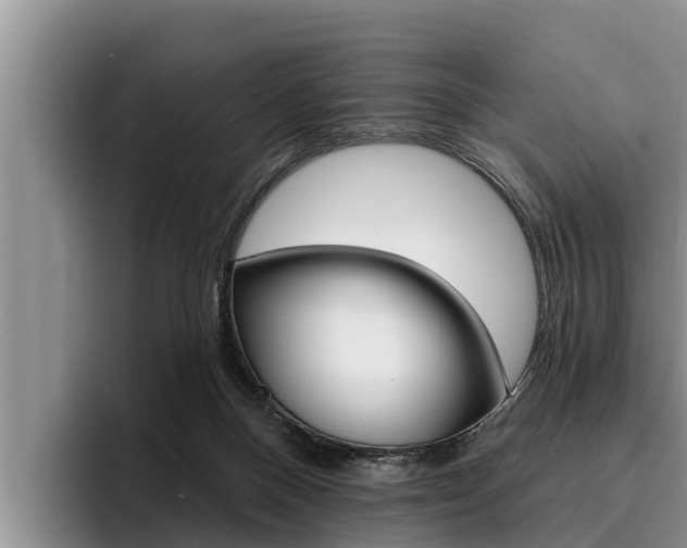 X0000096210120200801181017