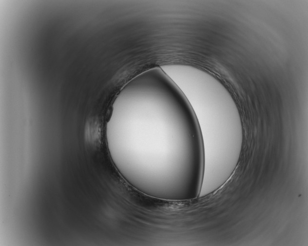 X0000096210124200801181017