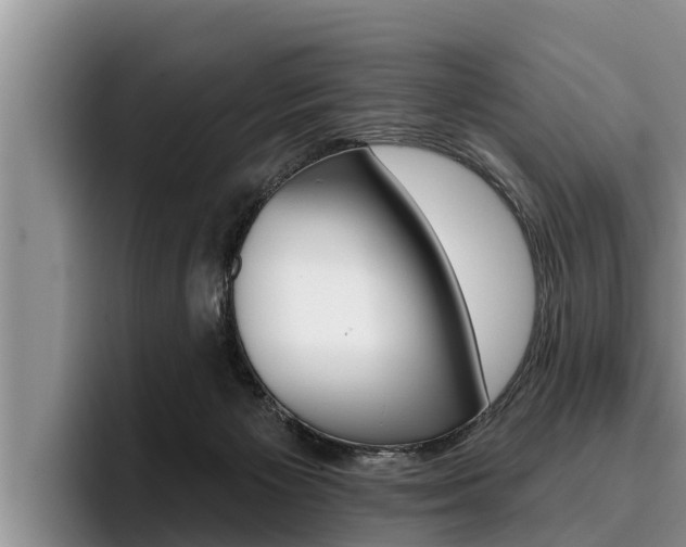 X0000096210125200801181017