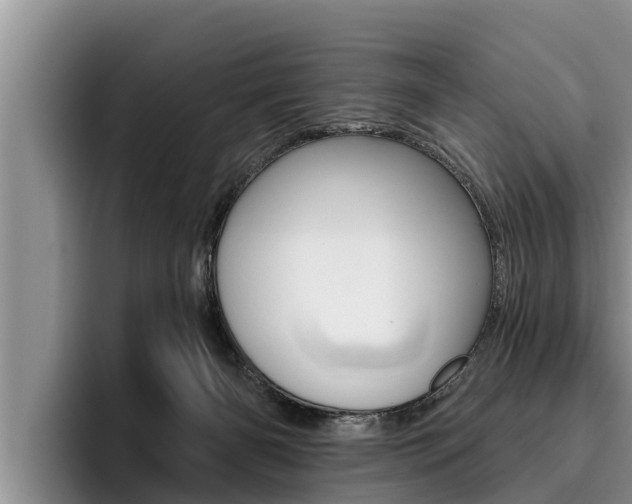 X0000096210126200801181017