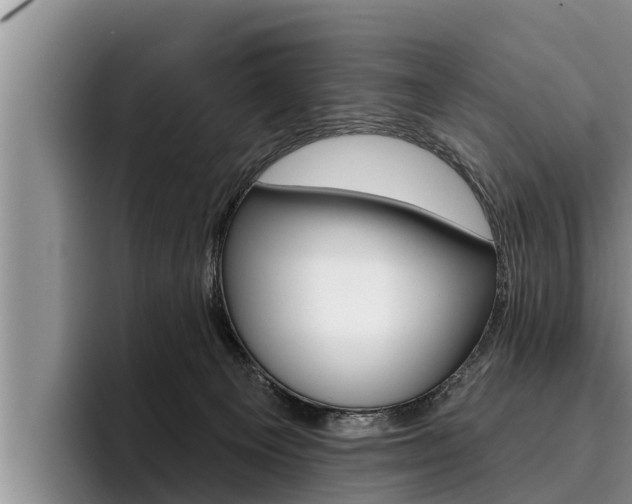 X0000096210129200801181017