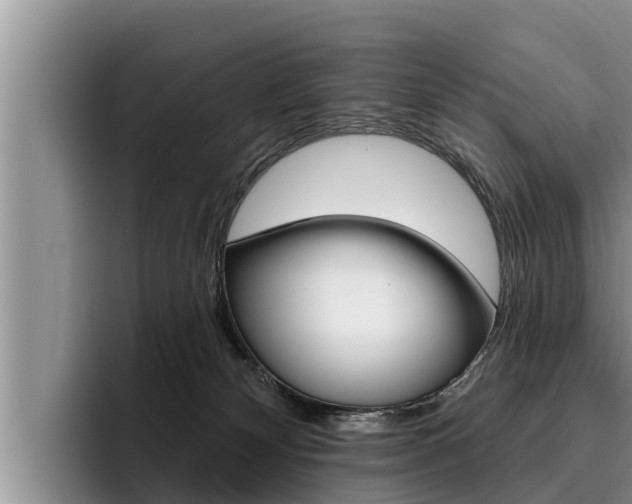 X0000096210132200801181017