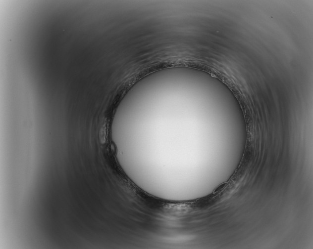 X0000096210133200801181017