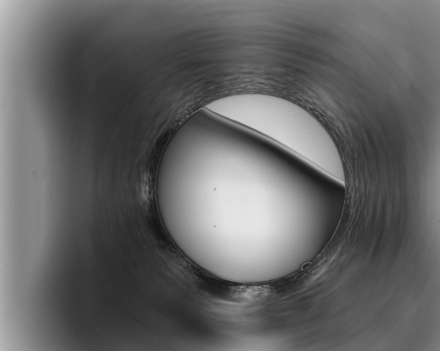 X0000096210135200801181017