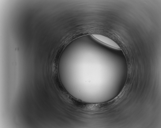 X0000096210136200801181017