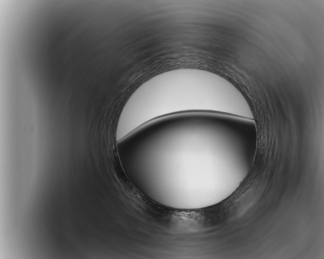 X0000096210137200801181017
