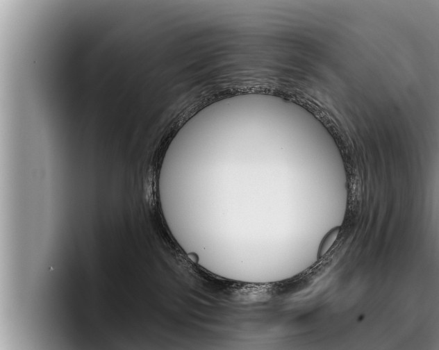 X0000096210138200801181017