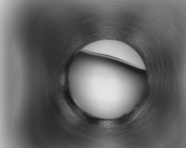 X0000096210139200801181017