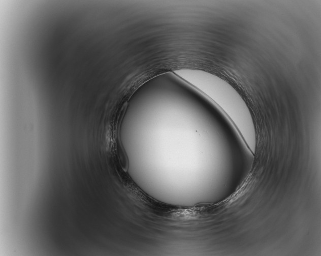 X0000096210140200801181017