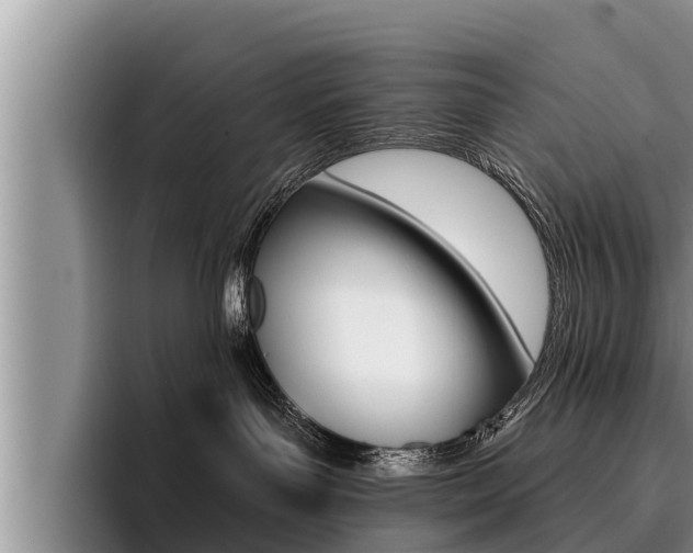 X0000096210143200801181017