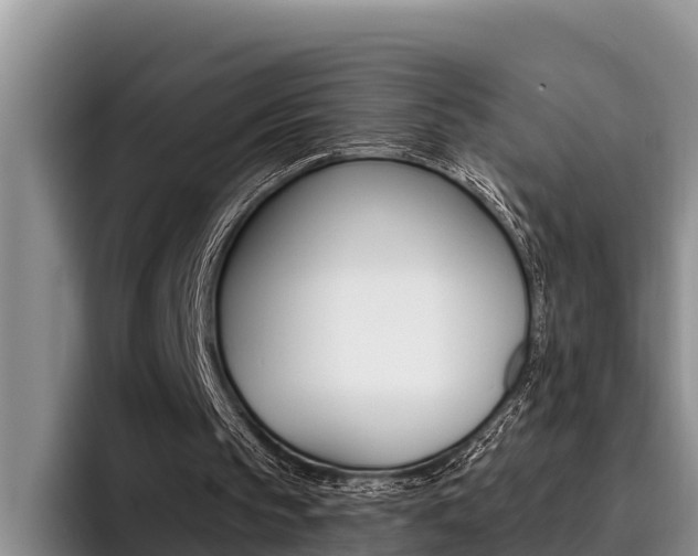X0000096210145200801181016