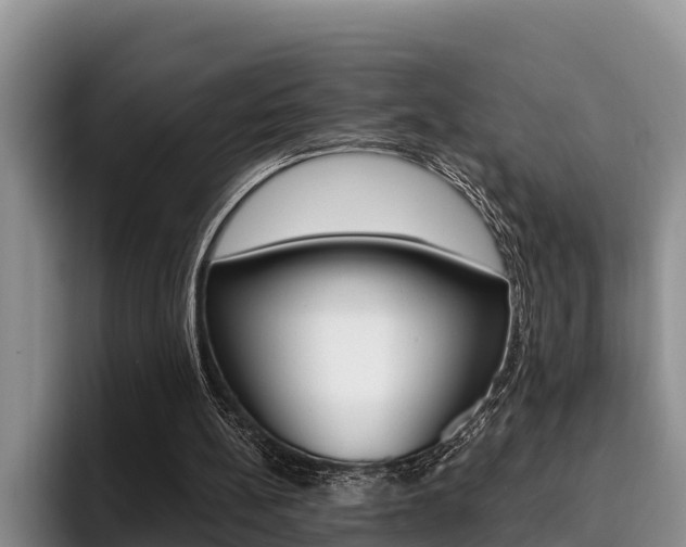 X0000096210148200801181016