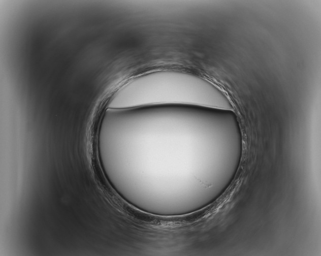 X0000096210149200801181016