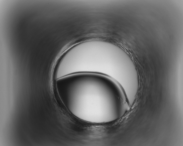X0000096210150200801181016