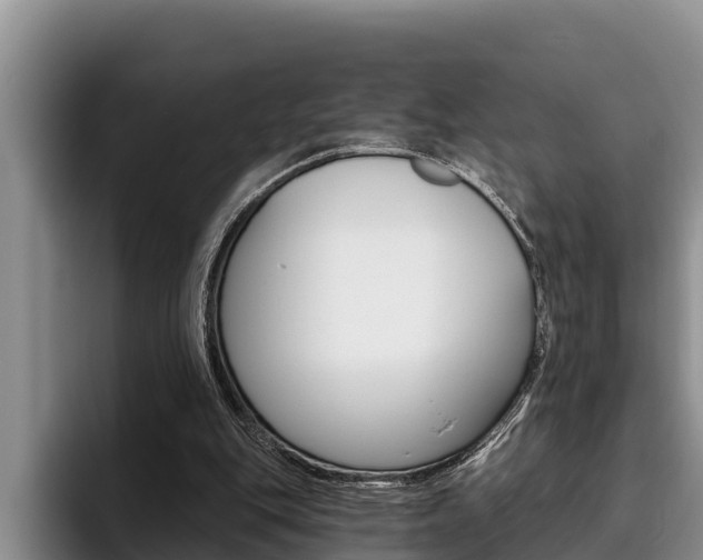 X0000096210151200801181016