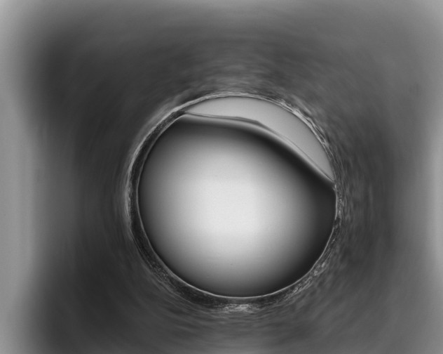 X0000096210152200801181016