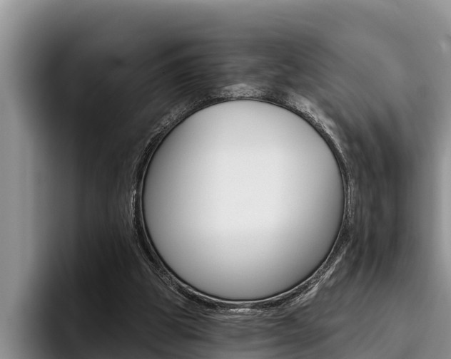 X0000096210153200801181016