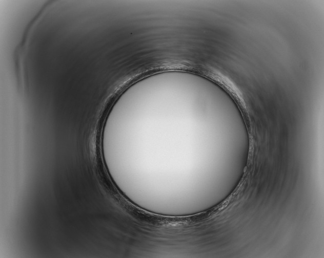 X0000096210155200801181016