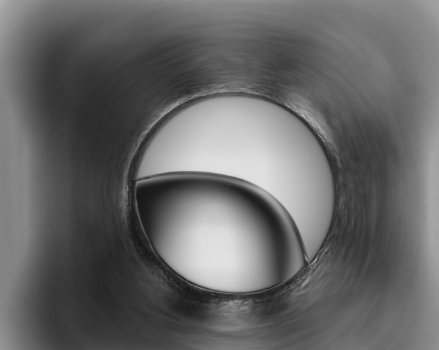 X0000096210156200801181016