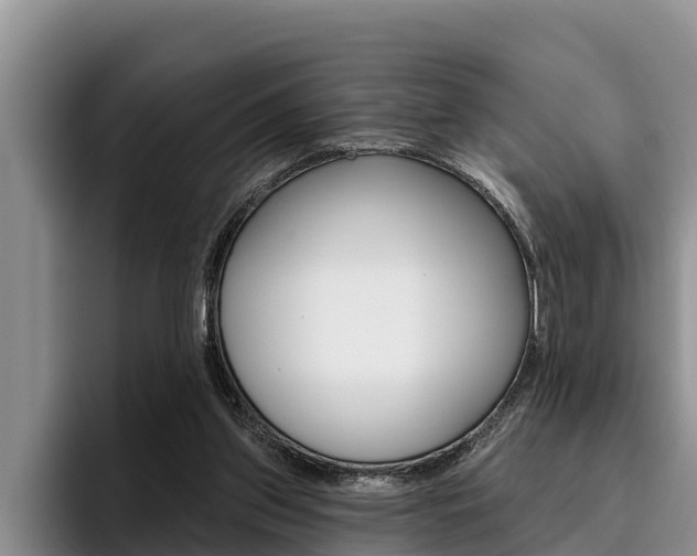 X0000096210157200801181016