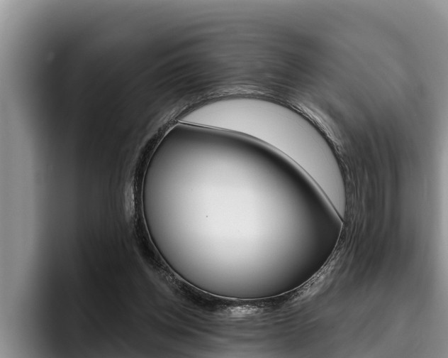 X0000096210158200801181016