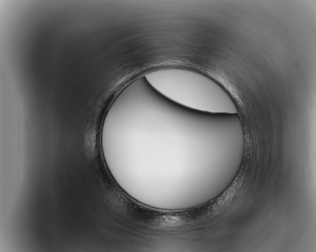 X0000096210159200801181016