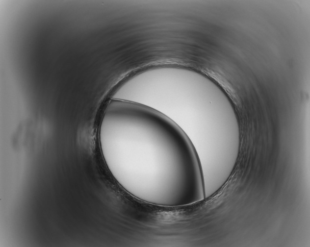 X0000096210160200801181016