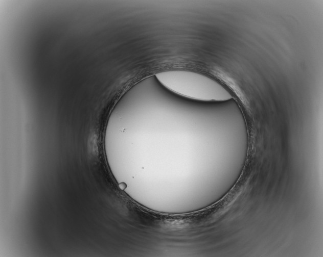 X0000096210161200801181016