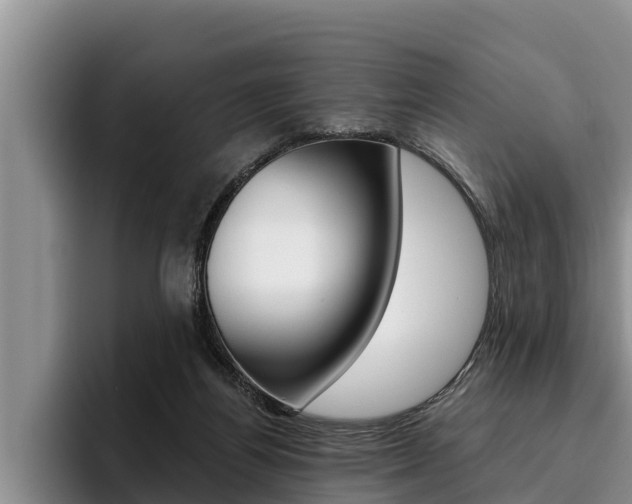 X0000096210164200801181016
