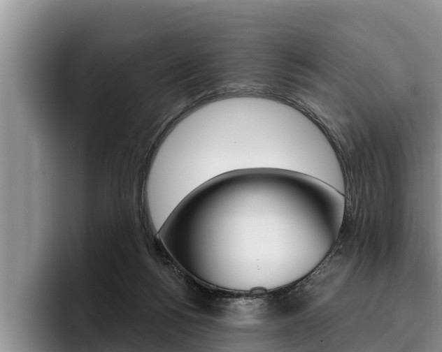 X0000096210168200801181016