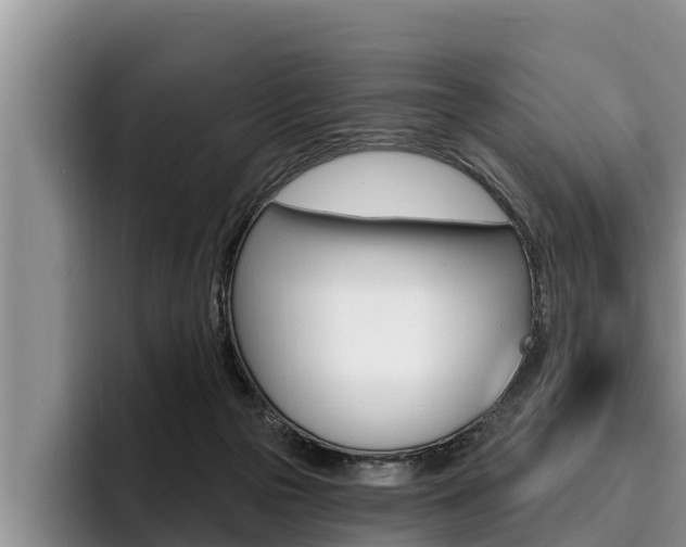 X0000096210169200801181016