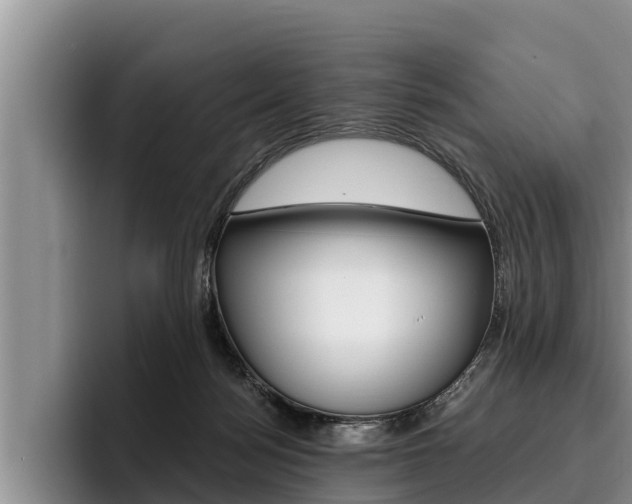 X0000096210172200801181016