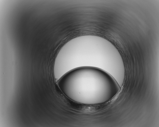 X0000096210174200801181016