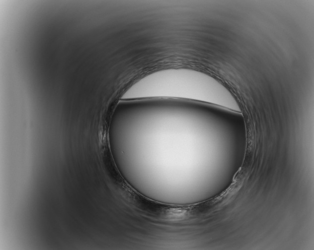 X0000096210176200801181016