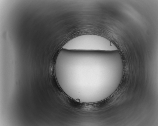 X0000096210177200801181016