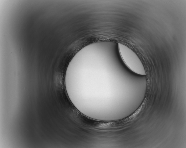 X0000096210178200801181017