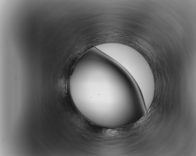 X0000096210180200801181017
